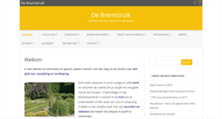 Desktop Screenshot of debremstruik.be